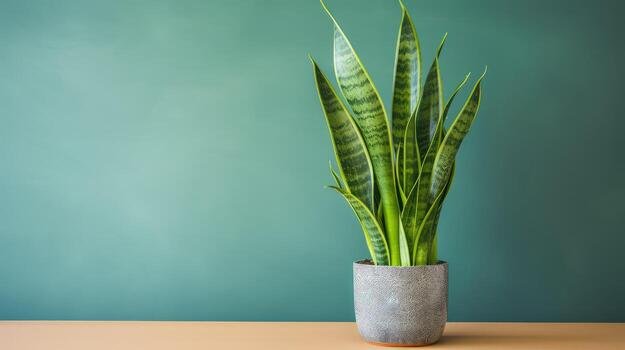 Best 10 Plants for Air Purification and Easy Maintenance 2 snak two Smart Living Starts Here