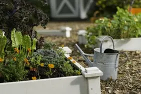 bhg raised bed watering can 101326687 2fdb6ee2d39c48b0b6435b18fbc015e6 Smart Living Starts Here