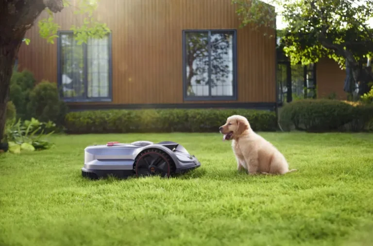 Best Lawn & Garden Products 2026: Robot Mowers, Garden Tools & Spring Care Guide