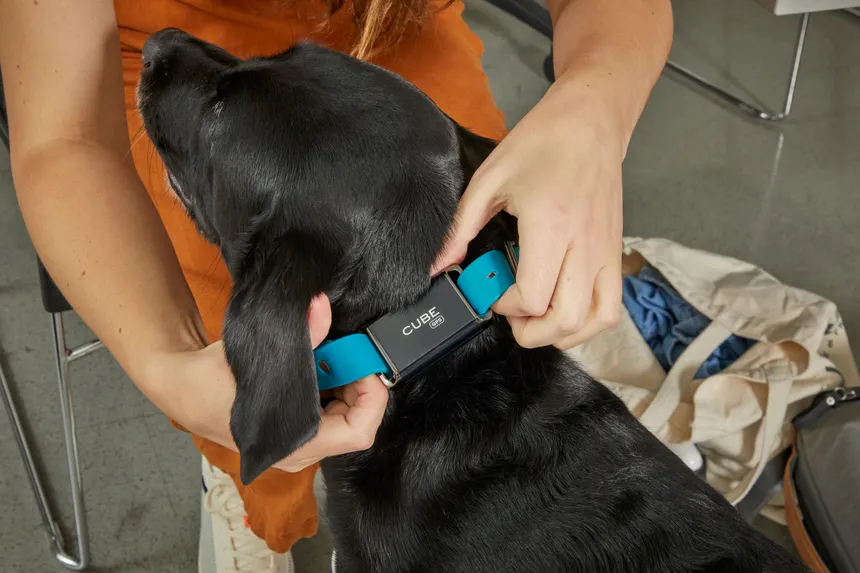 dog gps tracker test cube real time cat tracker tstaples 0407 a4f55e7c3ab24d589ed2f9d0b0b1fe30 Smart Living Starts Here