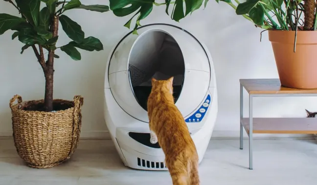Best Automatic Cat Litter Box 2026 Top 5 Self-Cleaning Picks